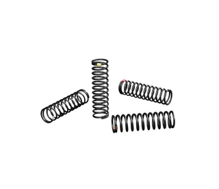 PRO Spring Set